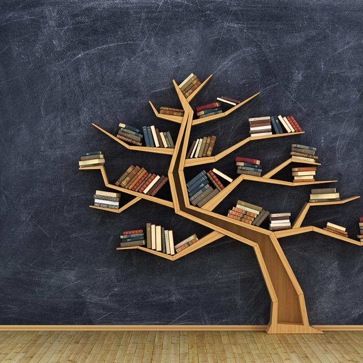 A picture of a large tree with organized books and knowledge